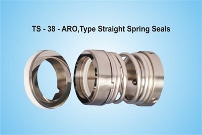 ARO Straight Spring Seals