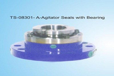 Agitator Seal with Bearing