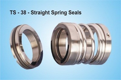 Straight Spring Seals