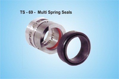 Multi Spring Seals