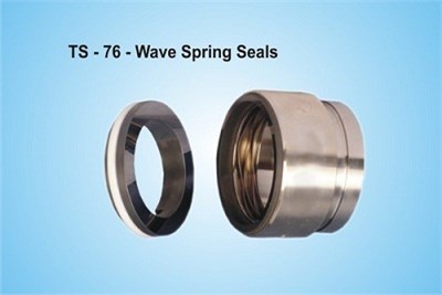 Wave Spring Seals