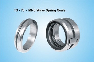 MNS Wave Spring Seals