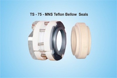 Teflon Bellow Seals