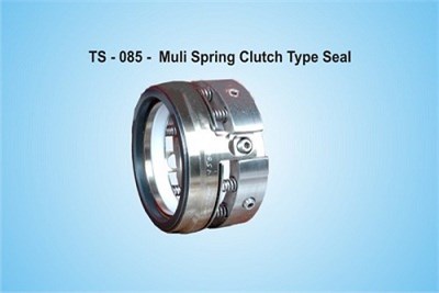 Multi Spring Clutch Type Seal